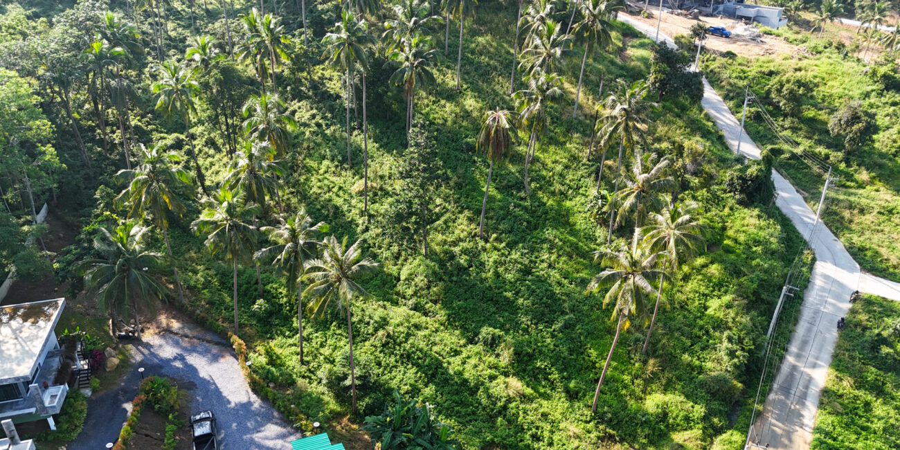 PRIME HILLTOP LAND IN MEANAM SOI 1